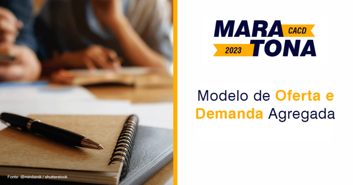 Modelo de Oferta e Demanda Agregada